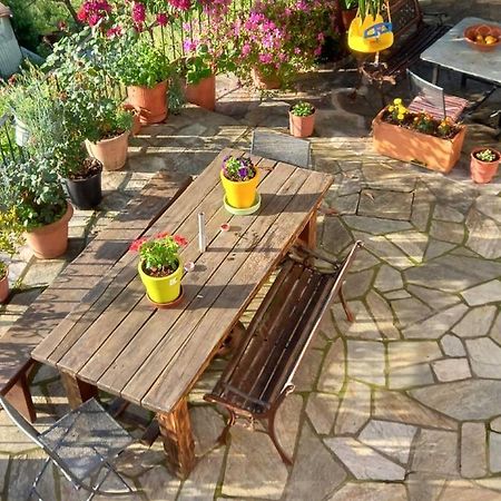 Orizontas Pilio Villa Κισσός Εξωτερικό φωτογραφία
