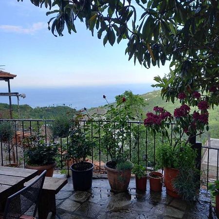 Orizontas Pilio Villa Κισσός Εξωτερικό φωτογραφία