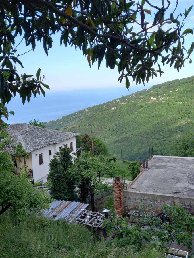 Orizontas Pilio Villa Κισσός Εξωτερικό φωτογραφία