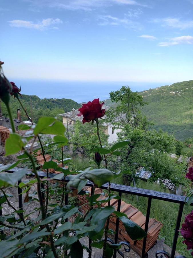 Orizontas Pilio Villa Κισσός Εξωτερικό φωτογραφία