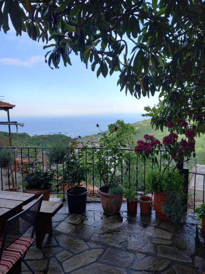 Orizontas Pilio Villa Κισσός Εξωτερικό φωτογραφία