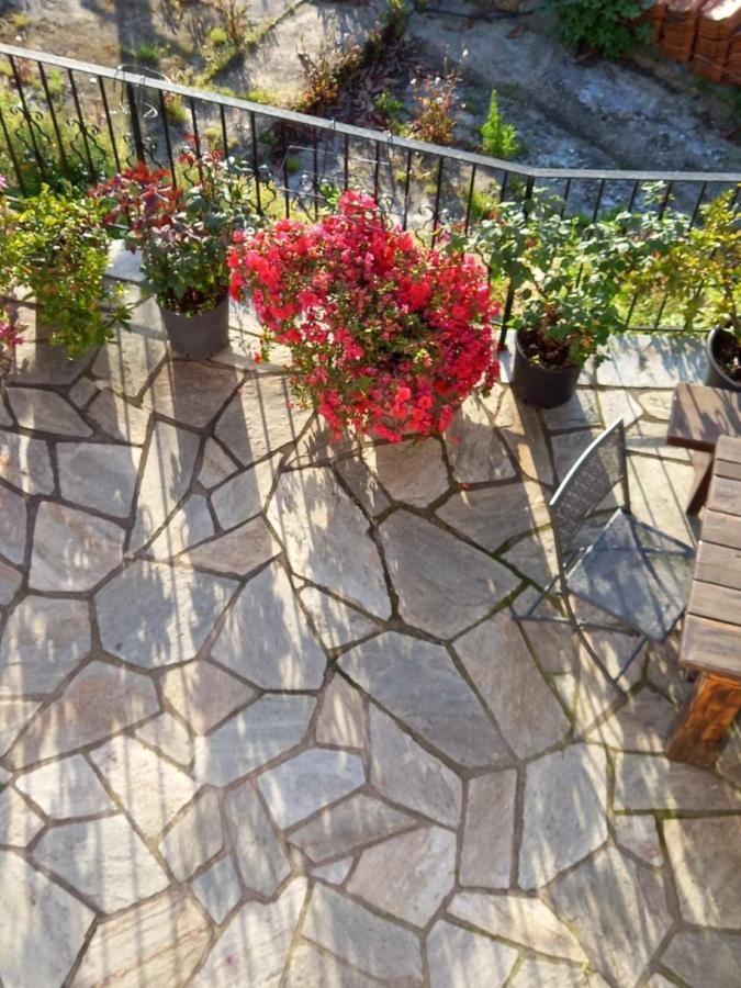 Orizontas Pilio Villa Κισσός Εξωτερικό φωτογραφία