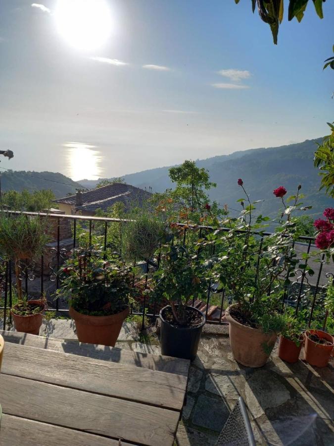 Orizontas Pilio Villa Κισσός Εξωτερικό φωτογραφία