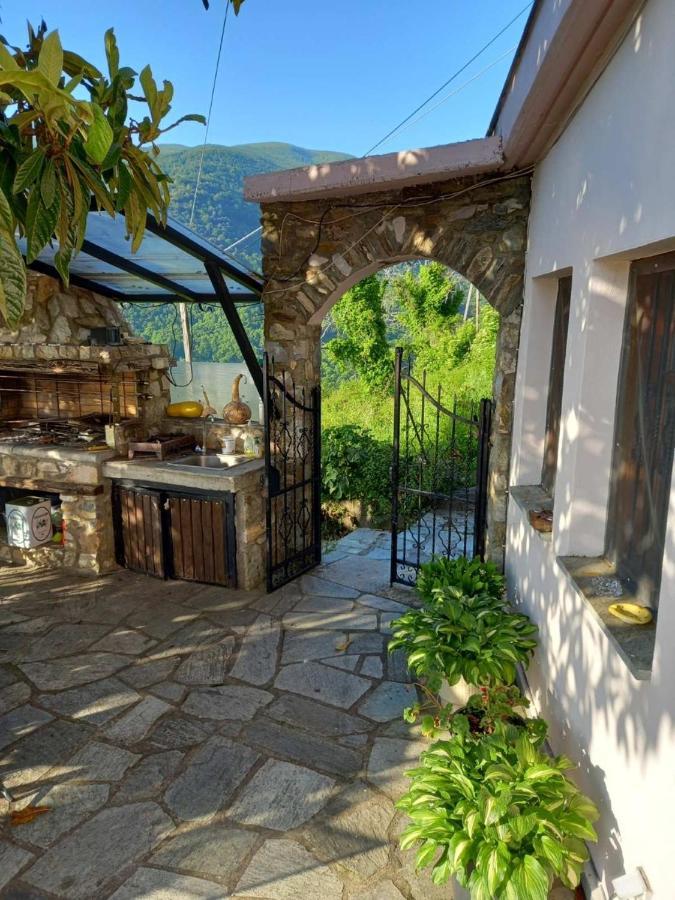 Orizontas Pilio Villa Κισσός Εξωτερικό φωτογραφία