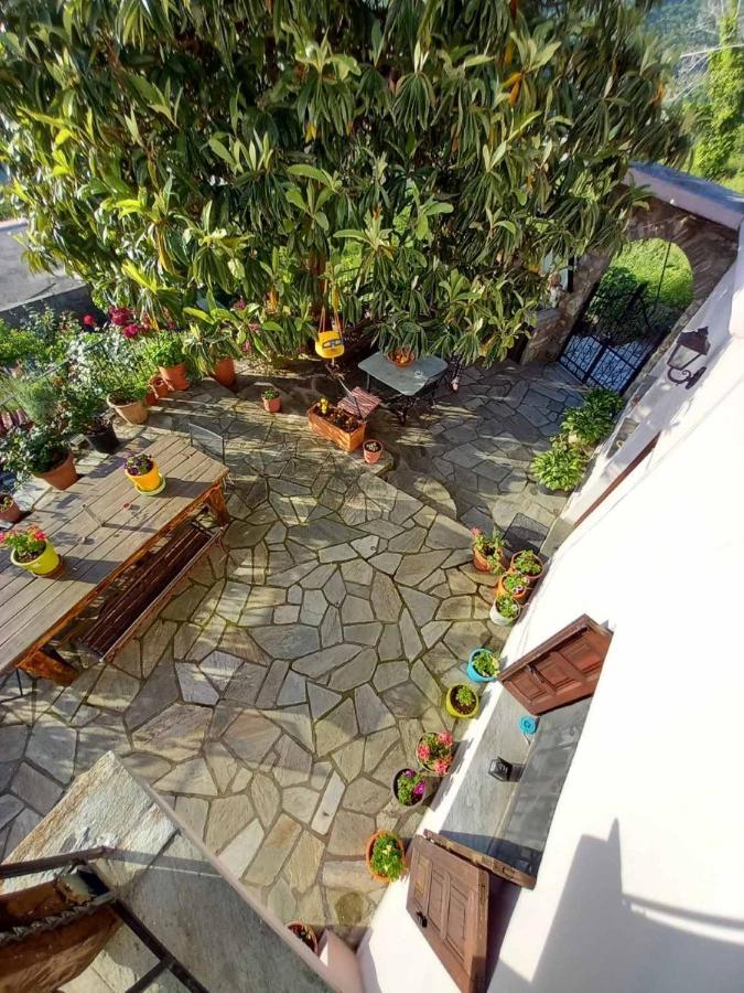 Orizontas Pilio Villa Κισσός Εξωτερικό φωτογραφία