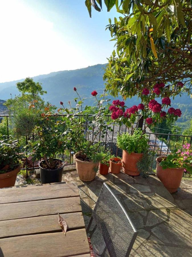 Orizontas Pilio Villa Κισσός Εξωτερικό φωτογραφία