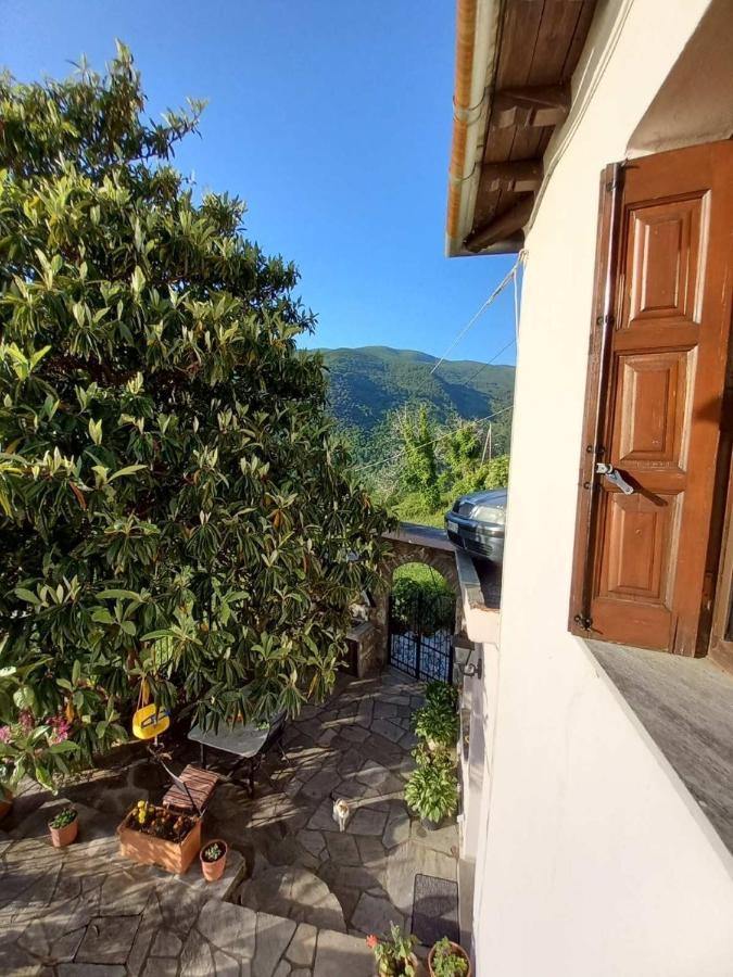 Orizontas Pilio Villa Κισσός Εξωτερικό φωτογραφία